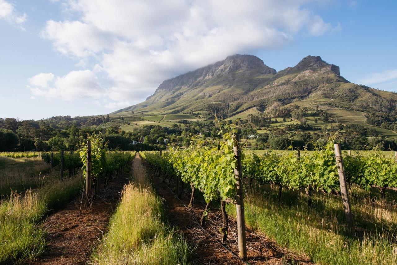 Banhoek Lodge Стелленбос Екстер'єр фото
