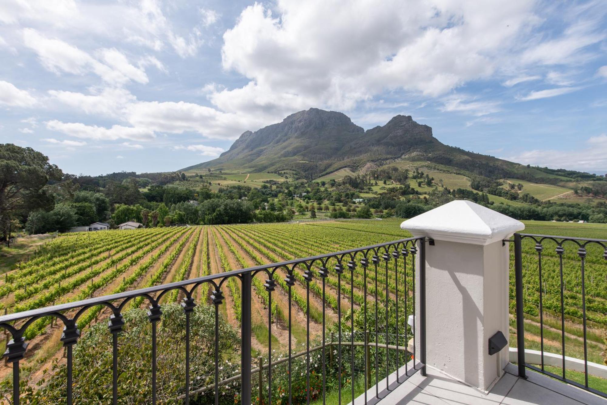 Banhoek Lodge Стелленбос Екстер'єр фото
